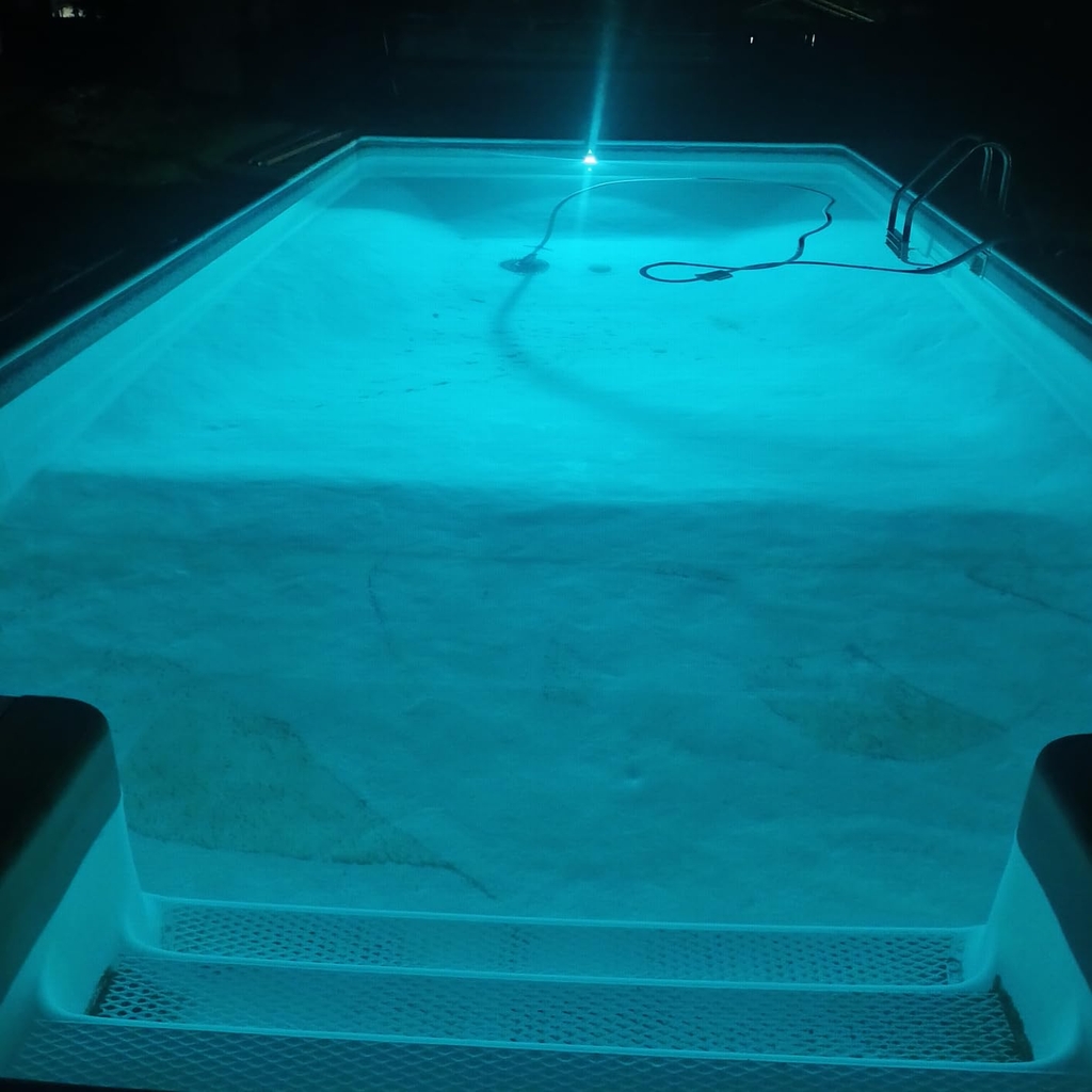 🌴 2026 HOT SALE ☀️ Premium Poolside Solar Light for Magical Backyard Nights 💦